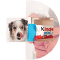 Ein Hund mit nassem Fell leckt sich die Schnauze, während er neben einer bunten Verpackung von Kinder Schokolade steht